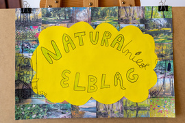 Ruszył program Naturalnie Elbląg