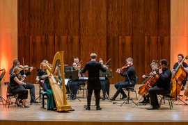 Wieczór w krainie harfowych melodii