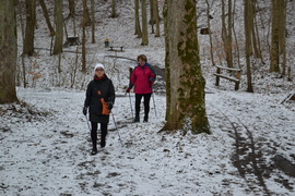 Miłość od pierwszego chodzenia