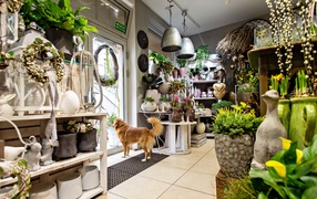 W Zielonym Gaju wiedzą, jak tworzyć piękno