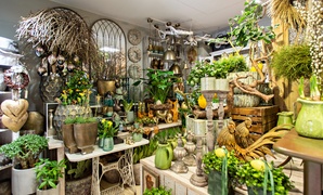 W Zielonym Gaju wiedzą, jak tworzyć piękno