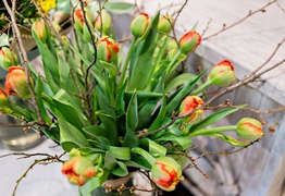 W Zielonym Gaju wiedzą, jak tworzyć piękno