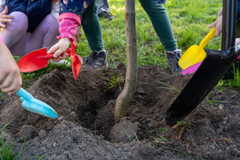 Ekologiczna mapa nasadzeń (bez aktualizacji)