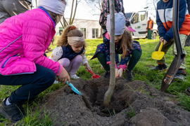 Ekologiczna mapa nasadzeń (bez aktualizacji)