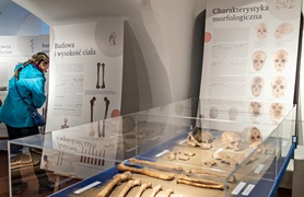 Historia wyczytana z kości