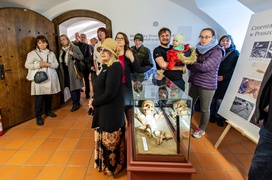 Historia wyczytana z kości