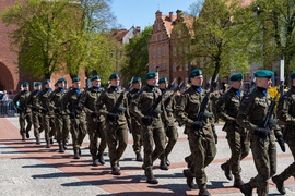\"Niech żyje Elbląg, niech żyje najjaśniejsza Rzeczpospolita\"