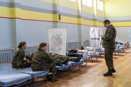 \"Morfina i albo wte, albo wewte\", czyli kryzysowe ćwiczenia urzędu