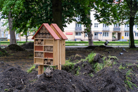 Tak zmienia się park Planty