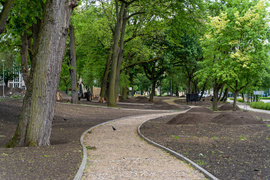 Tak zmienia się park Planty