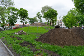 Tak zmienia się park Planty
