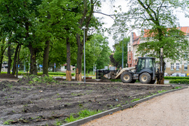 Tak zmienia się park Planty