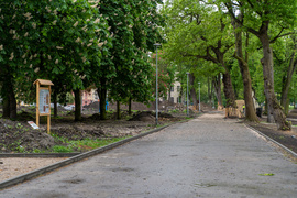 Tak zmienia się park Planty