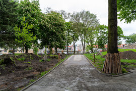 Tak zmienia się park Planty