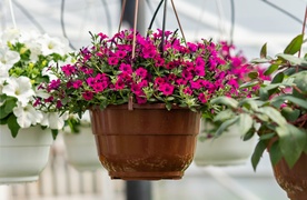 Pokaż Mamie, jak bardzo ją kochasz