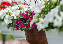 Pokaż Mamie, jak bardzo ją kochasz