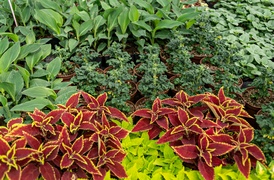 Pokaż Mamie, jak bardzo ją kochasz