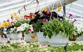 Pokaż Mamie, jak bardzo ją kochasz