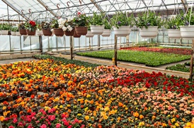 Pokaż Mamie, jak bardzo ją kochasz