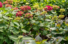 Pokaż Mamie, jak bardzo ją kochasz