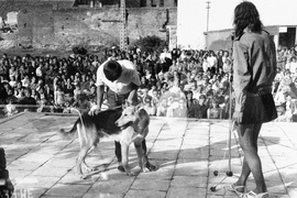 Wkrótce minie 50 lat od zakończenia Operacji 1001 Frombork. Poszukiwani jej uczestnicy