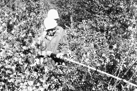 Wkrótce minie 50 lat od zakończenia Operacji 1001 Frombork. Poszukiwani jej uczestnicy