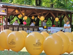 Festyn Pszczoły za nami