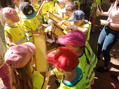 Festyn Pszczoły za nami