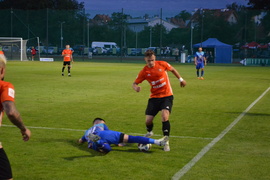 Puchar dla Concordii