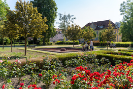 Fontanna tryśnie w środę