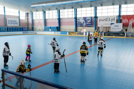 Zimą łyżwy, latem rolki