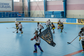 Zimą łyżwy, latem rolki