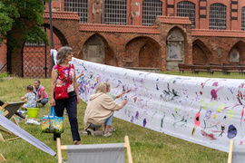 Obiad i kolacja na trawie w obiektywie