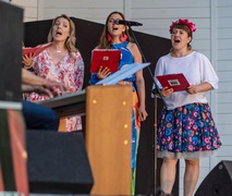 Przebojowa Bażantarnia