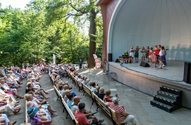 Przebojowa Bażantarnia