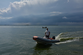 Regaty o Puchar Mariny Elbląg