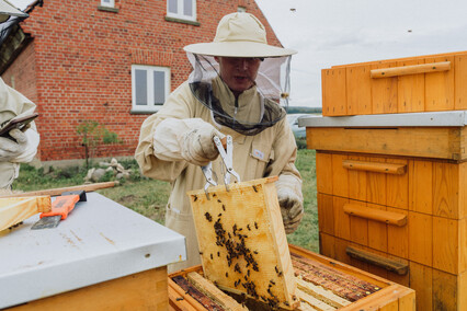 „Kosmos w zabytkowych drukach Biblioteki Elbląskiej”: wernisaż wystawy