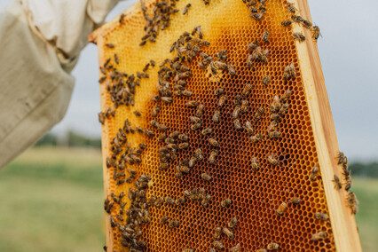 „Kosmos w zabytkowych drukach Biblioteki Elbląskiej”: wernisaż wystawy