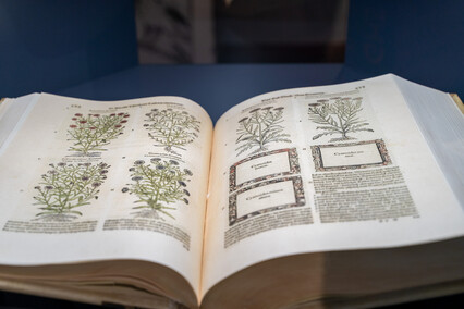 Elkamera przybliża historię Elbląga i miejskiego księgozbioru