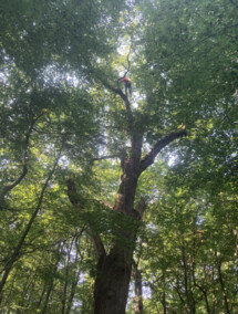 Pielęgnują to, co ważne