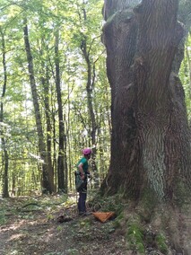 Pielęgnują to, co ważne