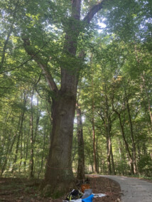 Pielęgnują to, co ważne