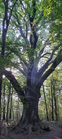 Pielęgnują to, co ważne