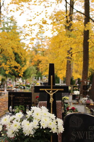 Elblążanie przygotowują się do Wszystkich Świętych