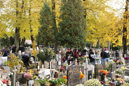 Elblążanie przygotowują się do Wszystkich Świętych