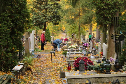 Elblążanie przygotowują się do Wszystkich Świętych