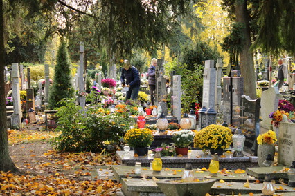 Elblążanie przygotowują się do Wszystkich Świętych