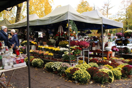 Elblążanie przygotowują się do Wszystkich Świętych
