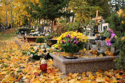 Elblążanie przygotowują się do Wszystkich Świętych