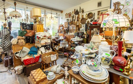 Większa powierzchnia, bogatszy asortyment. Odwiedź Galerię Starocie w Elblągu